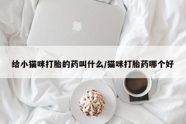 药流药购买给小猫咪打胎的药叫什么/猫咪打胎药哪个好