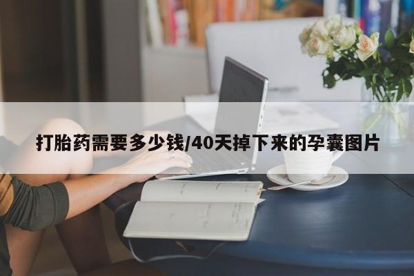 药流药购买打胎药需要多少钱/40天掉下来的孕囊图片